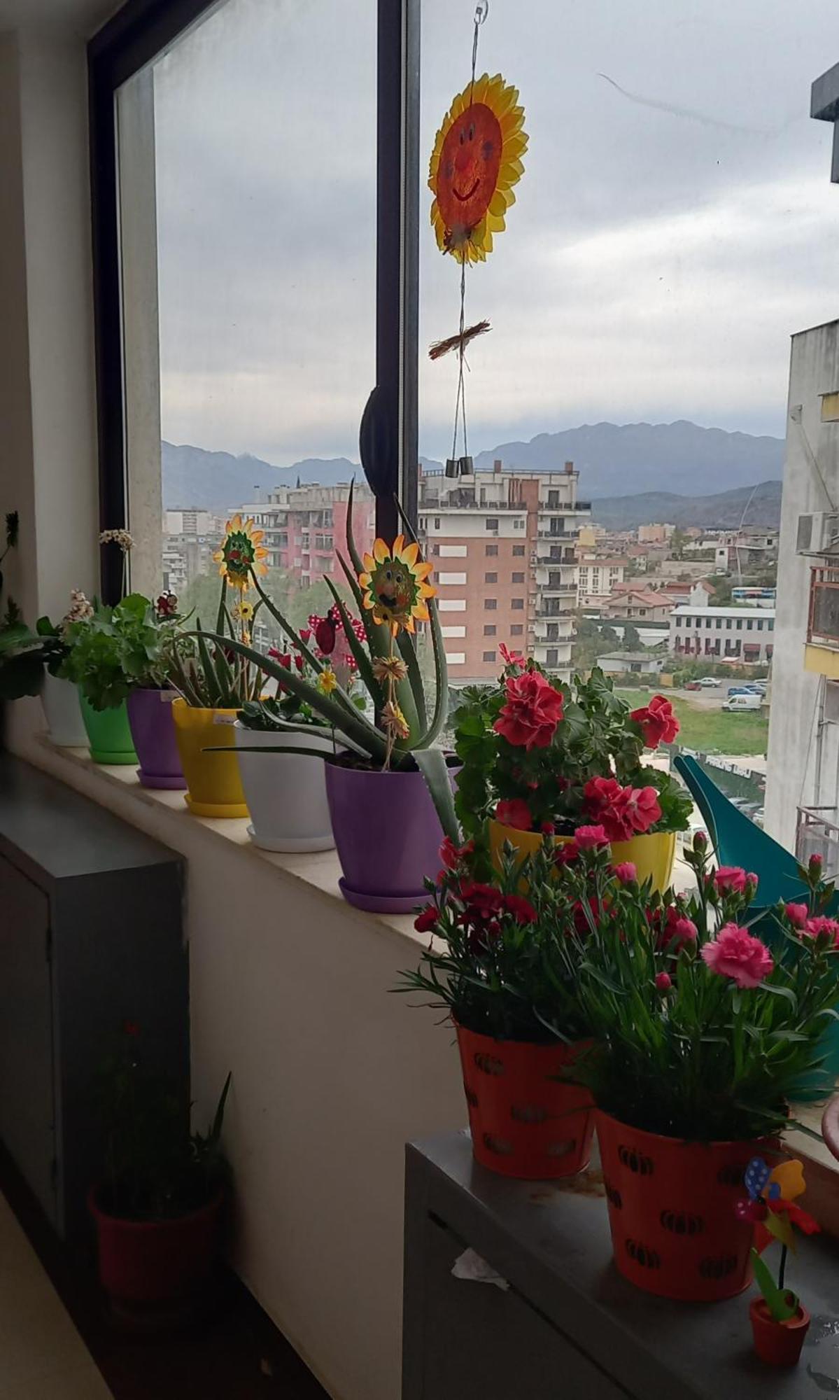 Panoramic Apartment Shkodër Esterno foto